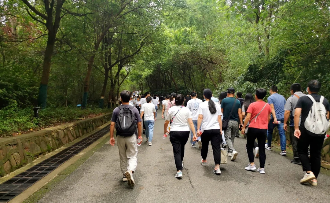 【动态】认真工作，快乐生活——凯发官网首页科技六周年登山活动圆满落幕